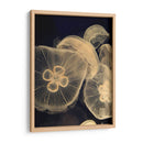 Medusas Gráficas I - Vision Studio | Cuadro decorativo de Canvas Lab