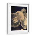 Medusas Gráficas I - Vision Studio | Cuadro decorativo de Canvas Lab