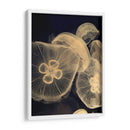 Medusas Gráficas I - Vision Studio | Cuadro decorativo de Canvas Lab