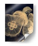 Medusas Gráficas I - Vision Studio | Cuadro decorativo de Canvas Lab