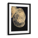 Medusas Gráficas Ii - Vision Studio | Cuadro decorativo de Canvas Lab