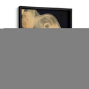 Medusas Gráficas Ii - Vision Studio | Cuadro decorativo de Canvas Lab