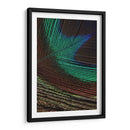 Plumas De Pavo Real I - Vision Studio | Cuadro decorativo de Canvas Lab