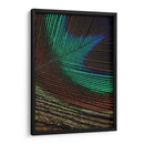 Plumas De Pavo Real I - Vision Studio | Cuadro decorativo de Canvas Lab