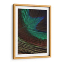 Plumas De Pavo Real I - Vision Studio | Cuadro decorativo de Canvas Lab