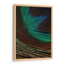 Plumas De Pavo Real I - Vision Studio | Cuadro decorativo de Canvas Lab