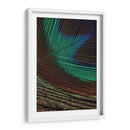 Plumas De Pavo Real I - Vision Studio | Cuadro decorativo de Canvas Lab