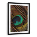 Peacock Plumas Ii - Vision Studio | Cuadro decorativo de Canvas Lab