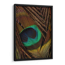 Peacock Plumas Ii - Vision Studio | Cuadro decorativo de Canvas Lab