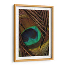 Peacock Plumas Ii - Vision Studio | Cuadro decorativo de Canvas Lab
