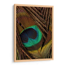 Peacock Plumas Ii - Vision Studio | Cuadro decorativo de Canvas Lab