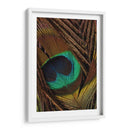 Peacock Plumas Ii - Vision Studio | Cuadro decorativo de Canvas Lab