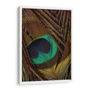 Peacock Plumas Ii - Vision Studio | Cuadro decorativo de Canvas Lab