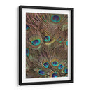Peacock Plumas Iii - Vision Studio | Cuadro decorativo de Canvas Lab