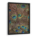 Peacock Plumas Iii - Vision Studio | Cuadro decorativo de Canvas Lab
