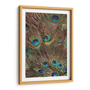 Peacock Plumas Iii - Vision Studio | Cuadro decorativo de Canvas Lab