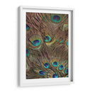 Peacock Plumas Iii - Vision Studio | Cuadro decorativo de Canvas Lab