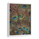 Peacock Plumas Iii - Vision Studio | Cuadro decorativo de Canvas Lab