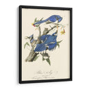 Audubon Blue Jays - John James Audubon | Cuadro decorativo de Canvas Lab