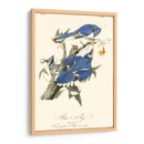 Audubon Blue Jays - John James Audubon | Cuadro decorativo de Canvas Lab