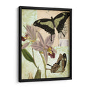 Natures Tapestry Iii - Vision Studio | Cuadro decorativo de Canvas Lab