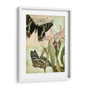 Natures Tapices Iv - Vision Studio | Cuadro decorativo de Canvas Lab