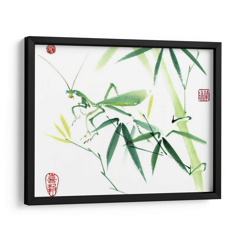 Mantis - Nan Rae | Cuadro decorativo de Canvas Lab