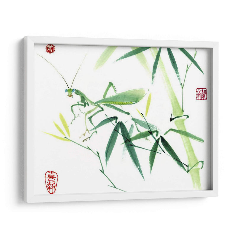 Mantis - Nan Rae | Cuadro decorativo de Canvas Lab