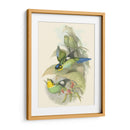 Pequeñas Aves De Trópicos I - John Gould | Cuadro decorativo de Canvas Lab
