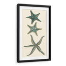 Starfish Aquamarine I - Vision Studio | Cuadro decorativo de Canvas Lab