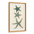 Starfish Aquamarine I - Vision Studio | Cuadro decorativo de Canvas Lab