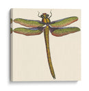 Libélula En Miniatura I - Vision Studio | Cuadro decorativo de Canvas Lab