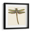 Libélula En Miniatura I - Vision Studio | Cuadro decorativo de Canvas Lab