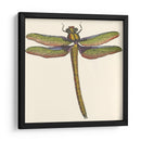 Libélula En Miniatura I - Vision Studio | Cuadro decorativo de Canvas Lab