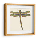Libélula En Miniatura I - Vision Studio | Cuadro decorativo de Canvas Lab
