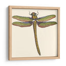 Libélula En Miniatura I - Vision Studio | Cuadro decorativo de Canvas Lab
