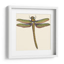 Libélula En Miniatura I - Vision Studio | Cuadro decorativo de Canvas Lab
