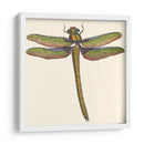 Libélula En Miniatura I - Vision Studio | Cuadro decorativo de Canvas Lab
