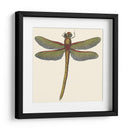 Libélula En Miniatura Ii - Vision Studio | Cuadro decorativo de Canvas Lab