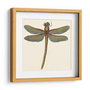 Libélula En Miniatura Ii - Vision Studio | Cuadro decorativo de Canvas Lab