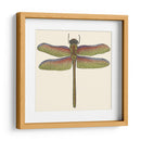 Libélula En Miniatura Iii - Vision Studio | Cuadro decorativo de Canvas Lab