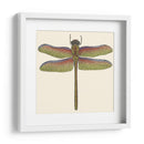 Libélula En Miniatura Iii - Vision Studio | Cuadro decorativo de Canvas Lab