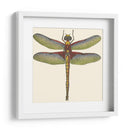 Libélula En Miniatura Iv - Vision Studio | Cuadro decorativo de Canvas Lab
