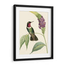 Hummingbird Delicado Iv - Vision Studio | Cuadro decorativo de Canvas Lab