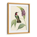 Hummingbird Delicado Iv - Vision Studio | Cuadro decorativo de Canvas Lab