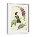 Hummingbird Delicado Iv - Vision Studio | Cuadro decorativo de Canvas Lab