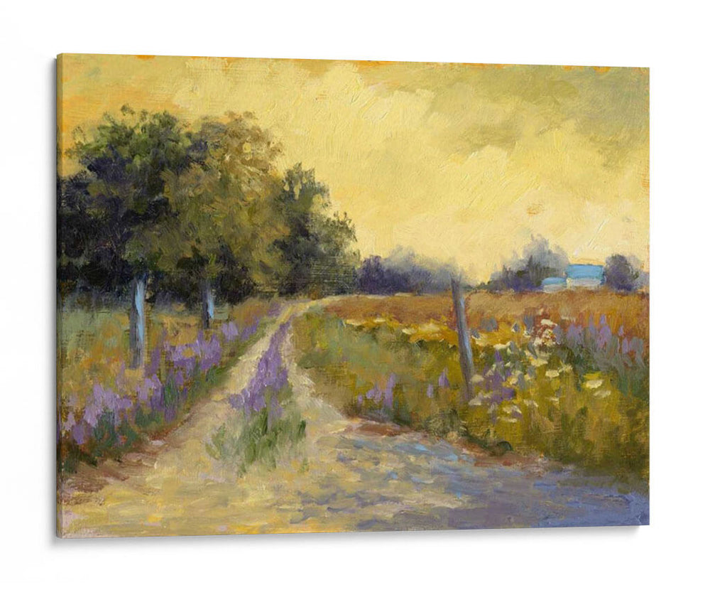 Cae Los Campos Dorados - Mary Jean Weber | Cuadro decorativo de Canvas Lab