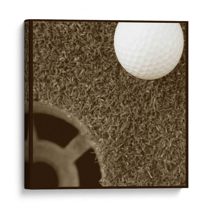 Sepia Golf Ball Study Ii - Jason Johnson | Cuadro decorativo de Canvas Lab