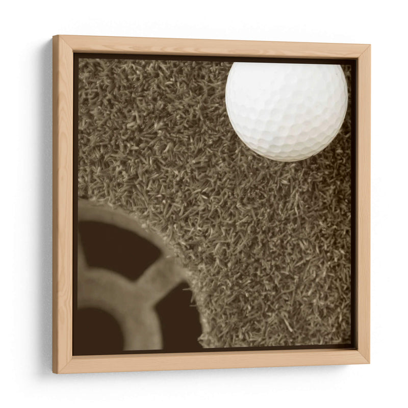 Sepia Golf Ball Study Ii - Jason Johnson | Cuadro decorativo de Canvas Lab