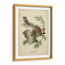 Audubon Screech Owl - John James Audubon | Cuadro decorativo de Canvas Lab